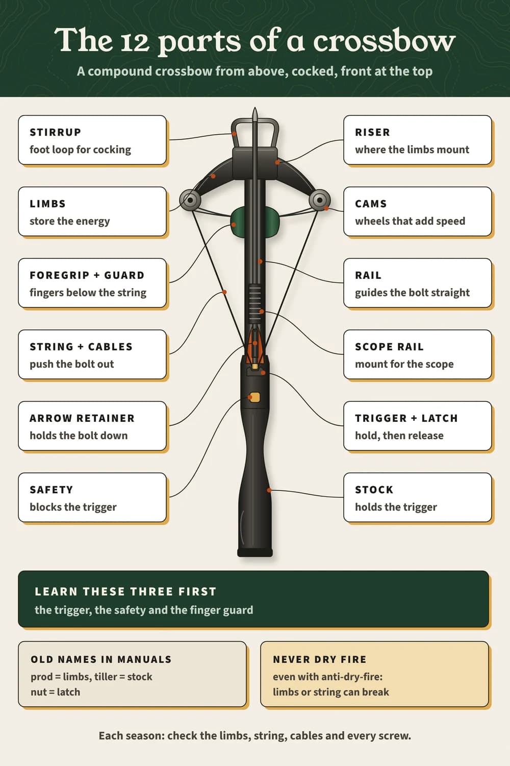 Crossbow anatomy on one page: the 12 parts of a modern crossbow and what each one does, plus the old names and the safety parts to learn first The 12 parts of a crossbow on a cocked compound crossbow seen from above, each with its job; learn the trigger, safety and finger guard first.