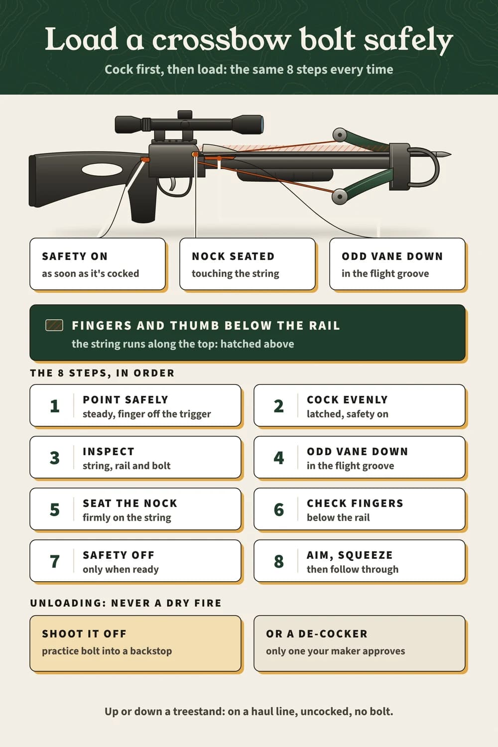 Loading a crossbow bolt safely on one page: the three checks on the bow, the string path, the 8 steps in order and how to unload without a dry fire Loading a crossbow bolt in 8 steps: cock first, safety on, odd vane down in the groove, nock seated, fingers below the rail; unload into a backstop.